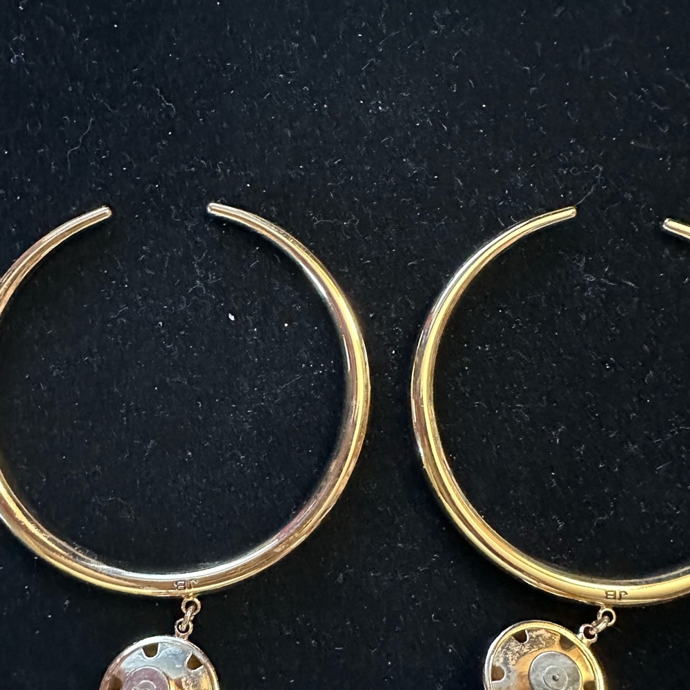 Jenny Bird large earrings